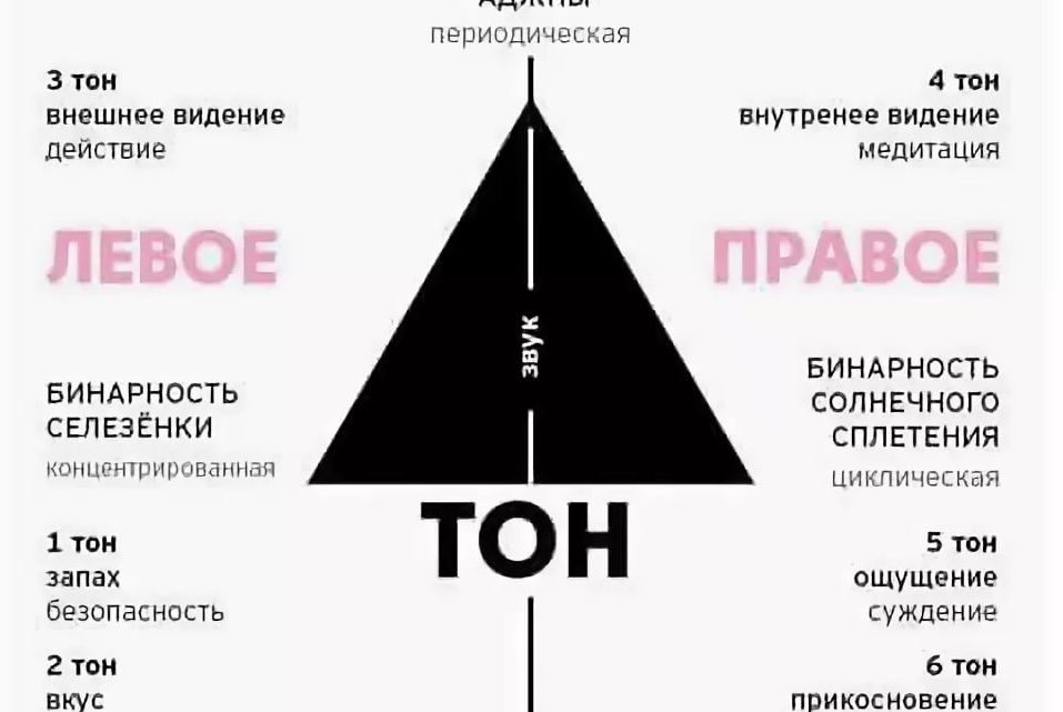 Левый, Правый Ум в Дизайне Человека 1 Левый, Правый Ум в Дизайне Человека
